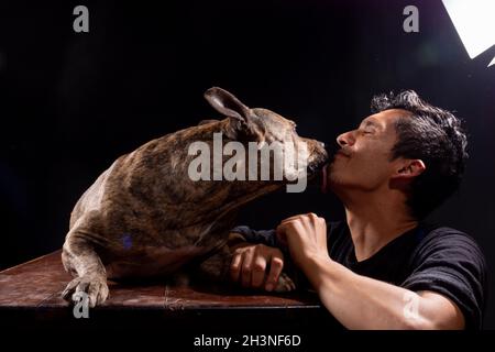 lateinischer Mann wird von seinem Hund geleckt. Isoliert auf schwarzem Hintergrund. Stockfoto