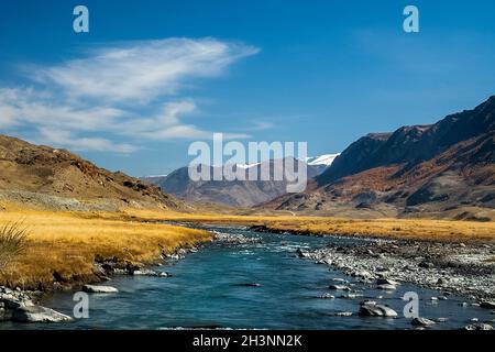 Goldener Herbst in den Wäldern des Altai. Gelbe Bäume im Herbst in der Nähe des Stausees. Stockfoto