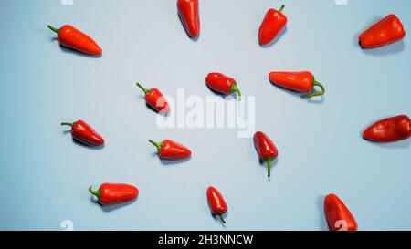 Mehrere Mini rote Paprika schön angelegt und bereit Auf himmelblauem Hintergrund isoliert essen Stockfoto