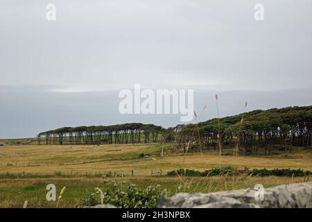 Wild Atlantic Way Mullaghmore Head Stockfoto