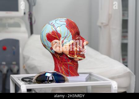Anatomisches künstliches Modell des Kopfes in der Kometologie-Klinik. Maquette des Gesichts für den Arzt Stockfoto