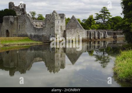 Desmond Castle Irland Stockfoto