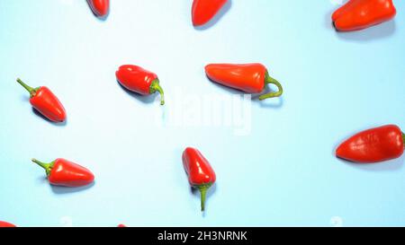 Mini rote Paprika wunderschön angelegt und bereit zu essen isoliert auf himmelblauen Hintergrund. Draufsicht Stockfoto