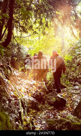 Touristen wandern durch den Wald auf dem Weg durch die Felsen. Herbstspaziergang durch den Wald. Stockfoto