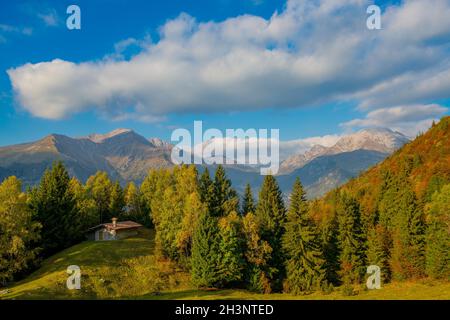 Ferienhaus im Wald im Herbst Stockfoto
