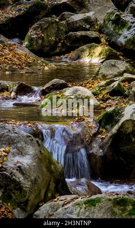 Berg kleiner Fluss im Wald mit Stromschnellen und Wasserfällen. Ein Waldbach. Stockfoto