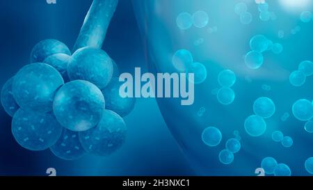 Streptococcus pneumoniae Bakterien in der Lunge Stockfoto