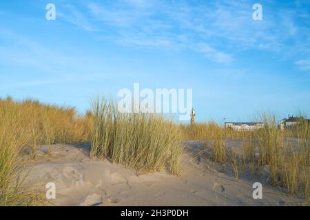 Düne am Strand von Warnemünde. Der Leuchtturm im Hintergrund. Stockfoto