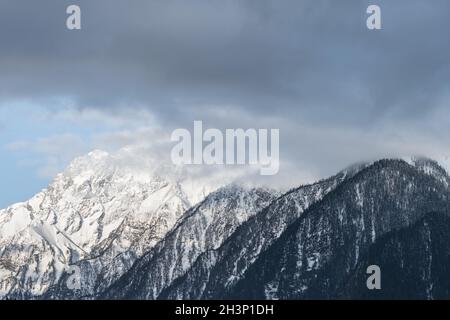 Schnee Berge und Wälder Stockfoto