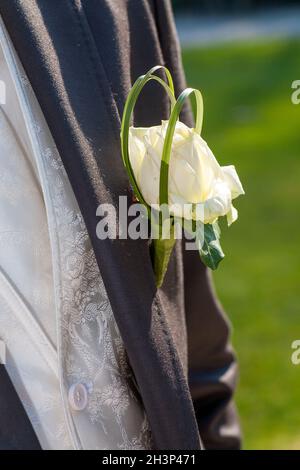 Weiße Rose im Bräutigam Anzug Stockfoto