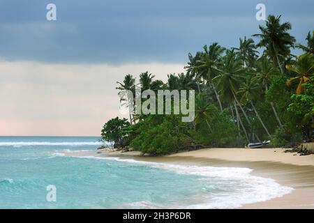 Tropisches Paradies Stockfoto