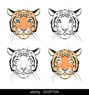 Kopf des tigers. Handgezeichnete dekorative Vektorgrafik. Farb- und Umrissset Stock Vektor
