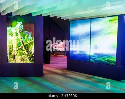 Dubai, VAE - 10.16.2021 Besucher in einem französischen Pavillon auf der EXPO 2020. Stockfoto