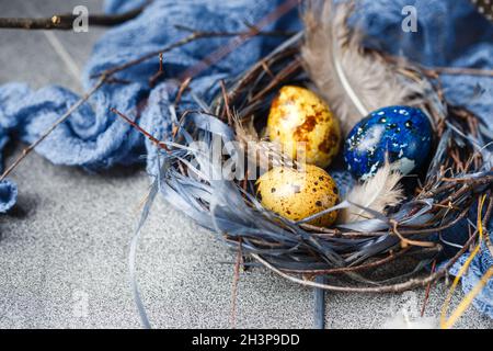 Wachtel Ostereier mit Federn im Nest auf braunen Tisch mit kopieren. Stockfoto