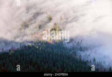 Herbstalpen Berg neblige Morgenansicht von Jenner Aussichtsplattform, Schonau am Konigssee, Bayern, Deutschland. Stockfoto