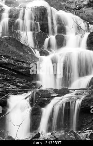 Graustufen. Wasserfälle am Rocky Stream, der durch den Autumn Mountain Forest führt. Stockfoto