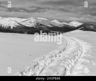 Graustufen. Schlittenspuren und Fußspuren auf dem Winterberggipfel und der schneebedeckten Alp Chornohora (Ukraine, Karpaten Mo Stockfoto