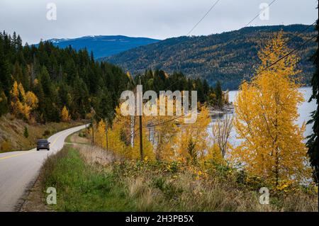 Blick auf die Squilax-Anglemont Road, auf der im Herbst ein einsames Fahrzeug fährt. Die Straße verläuft entlang des Nordufers des Shuswap Lake. Stockfoto