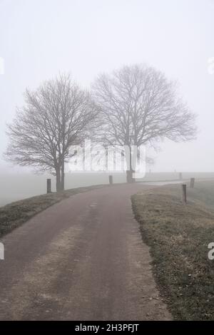 Nebellandschaft mit Bäumen am Straßenrand eines Dorfes Straße in Deutschland im Winter Stockfoto