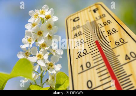 Warm temperature on thermometer at springtime Stockfoto