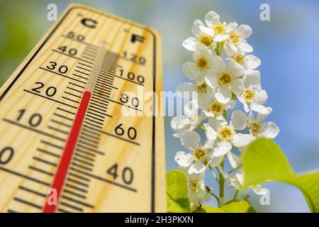 Warm temperature on thermometer at springtime Stockfoto
