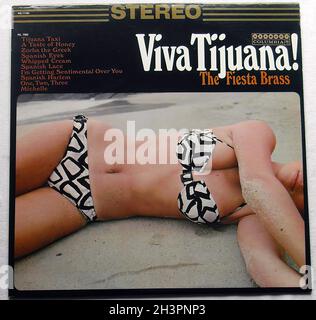Viva Tijuana 60s Original Vintage LP Schallplatte Vinyl Stockfoto
