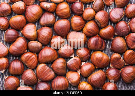 Reife Kastanien hautnah. Raw Kastanien für Weihnachten. Frische Kastanien. Stockfoto