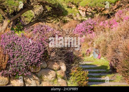 Frieze Wall Stockfoto