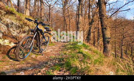 Mountainbiken in der Ferienregion Harz Selketal Stockfoto