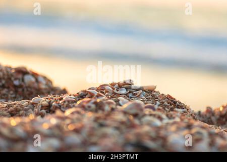 Sonnenuntergang am Mittelmeer. Küste mit Haufen Muscheln. Die Sonnenstrahlen werden im Wasser reflektiert. Stockfoto