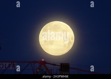 Vollmond Stockfoto