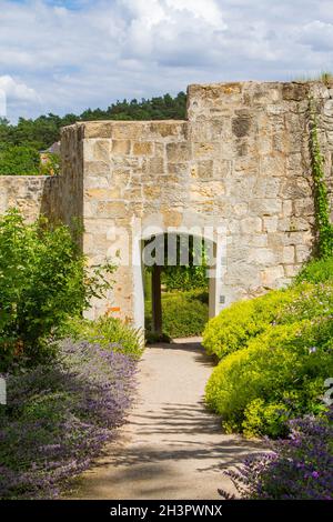 Bilder aus dem Schlosspark Blankenburg Harz Stockfoto