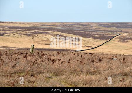 Der greenwood-Stein eine historische Grenze aus dem 16. Jahrhundert, die die Grenzen von midgley und wadworth Moor in calderdale im Westen von Yorkshi markiert Stockfoto