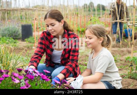 Freundliche Familie, die zusammen im Garten arbeitet Stockfoto