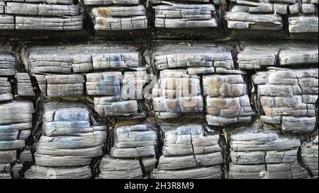 Hintergrund verbranntes Holz (nicht zerstört) Holzkohle Stockfoto