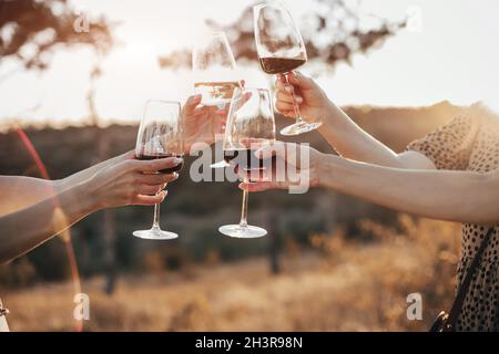 Freunde klirren Gläser mit Wein während des Picknicks Stockfoto