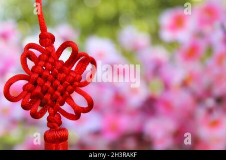 Chinesische Feng Shu Reichtum und Erfolg Münzen Stockfoto