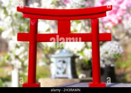 Torii-Tor mit Birnen- und Kirschblüten Stockfoto