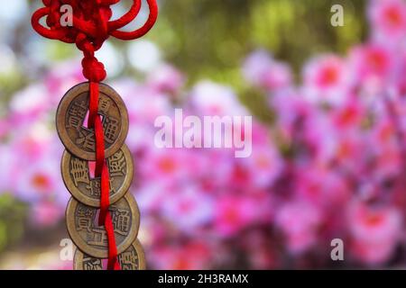 Chinesische Feng Shu Reichtum und Erfolg Münzen Stockfoto