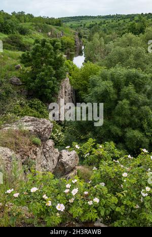 Buky Canyon Sommerlandschaft, Hirskyi Tikych Fluss, Tscherkassy Region, Ukraine. Stockfoto