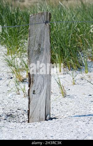 Nordstrand Prerow mit Strandgras, Zaunpfosten, Sandbuchten, Ostsee, Deutschland Stockfoto