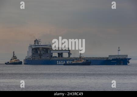 General Cargo Vessel Panamana fährt in die Docks von Royal Portbury Stockfoto