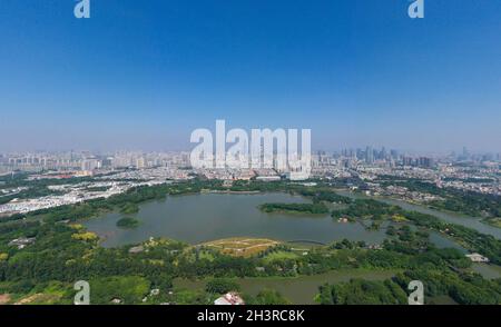 Guangzhou, China. Oktober 2021. (211030) -- GUANGZHOU, 30. Oktober 2021 (Xinhua) -- Luftfoto vom 26. Oktober 2021 zeigt eine Ansicht des Haizhu Wetlands in Guangzhou, der südchinesischen Provinz Guangdong. Ein Forscherteam um Yang Xingke vom Institut für Zoologie der Guangdong Academy of Sciences entdeckte eine neue Art der Blattkäfergattung Sphenoraia Clark, 1836, im Haizhu Wetland und nannte sie Sphenoraia (Sphenoraioides) haizhuensis Yang, 2021. Die Studie wurde in der Zeitschrift Entomotaxonomia veröffentlicht. Das Haizhu-Feuchtgebiet, das eine Fläche von etwa 1,100 Hektar umfasst, befindet sich im Stadtgebiet von Stockfoto