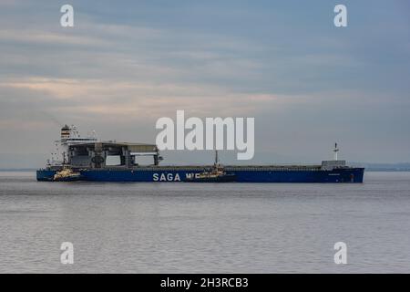 General Cargo Vessel Panamana fährt in die Docks von Royal Portbury Stockfoto