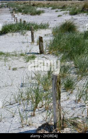 Nordstrand Prerow mit Strandgras, Zaunpfosten, Sandbuchten, Ostsee, Deutschland Stockfoto