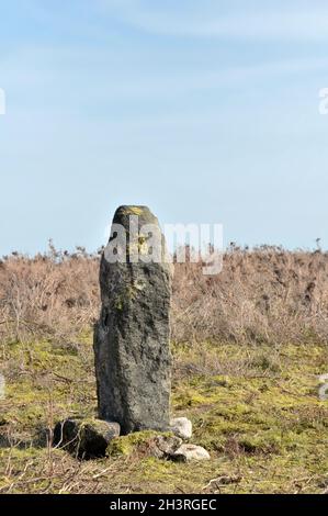 Pennine-Landschaft mit großem uraltem Stein auf midgley Moor in West yorkshire Stockfoto