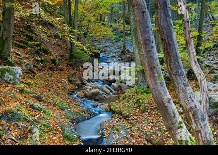 Herbstsonnenaufgang im Tal des Ninglinspo, das als herausragendes Kulturerbe der Wallonie gilt. Der Strom bildet Stromschnellen um verschiedene Pools Stockfoto