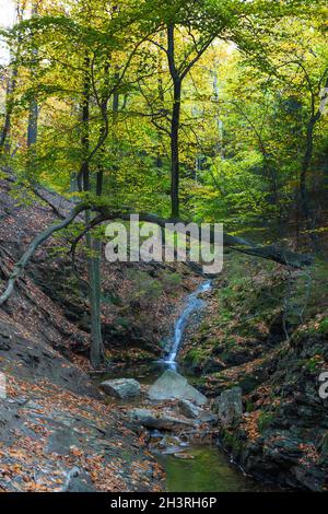 Herbstsonnenaufgang im Tal des Ninglinspo, das als herausragendes Kulturerbe der Wallonie gilt. Der Strom bildet Stromschnellen um verschiedene Pools Stockfoto