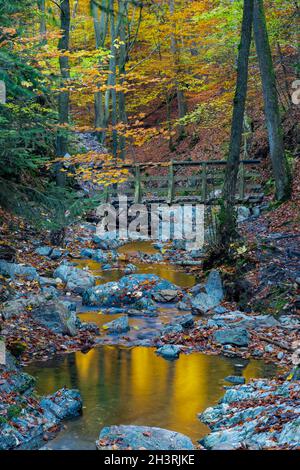 Herbstsonnenaufgang im Tal des Ninglinspo, das als herausragendes Kulturerbe der Wallonie gilt. Der Strom bildet Stromschnellen um verschiedene Pools Stockfoto