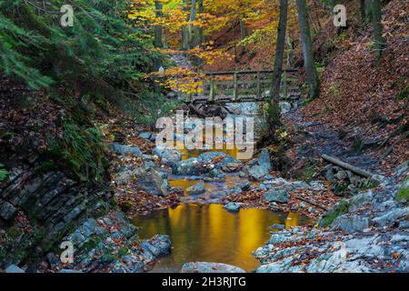 Herbstsonnenaufgang im Tal des Ninglinspo, das als herausragendes Kulturerbe der Wallonie gilt. Der Strom bildet Stromschnellen um verschiedene Pools Stockfoto